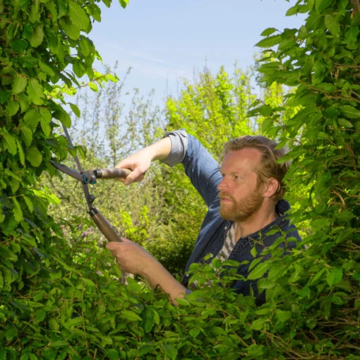 Gardena Heckenschere NatureCut Mit Echtholzgriff -Werkzeug Verkauf